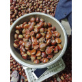 jual chestnut segar yang enak